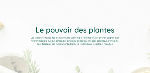 https://www.connexionvegetale.fr